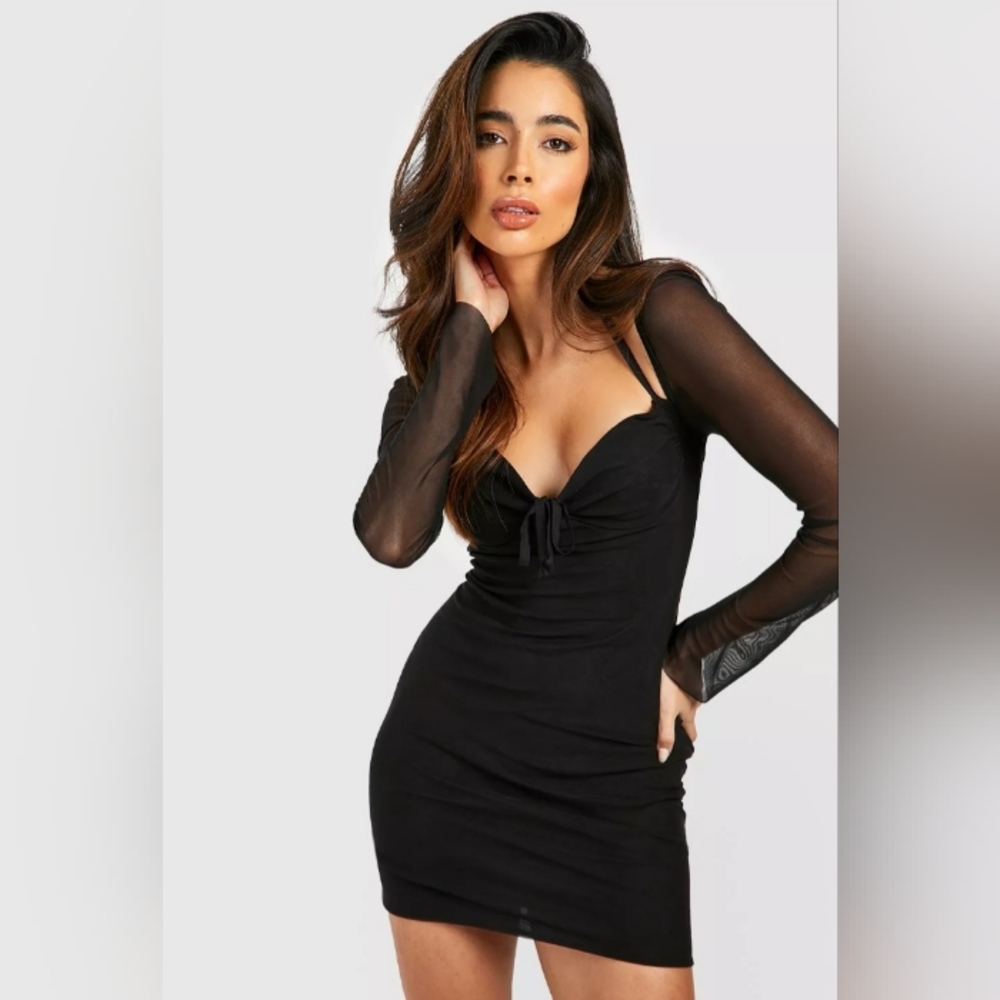 Boohoo Mesh Long Sleeve Bodycon Mini Dress
